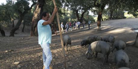 Día 3.<br>Excursiones. La Ruta del Jamón<br>Foto: Carlos Martínez